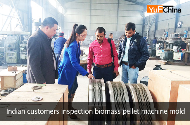 India Customer inspection biomass pellet machine mold