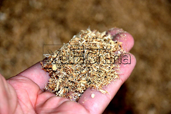 How to regulate the water content of the biomass wood pellet?