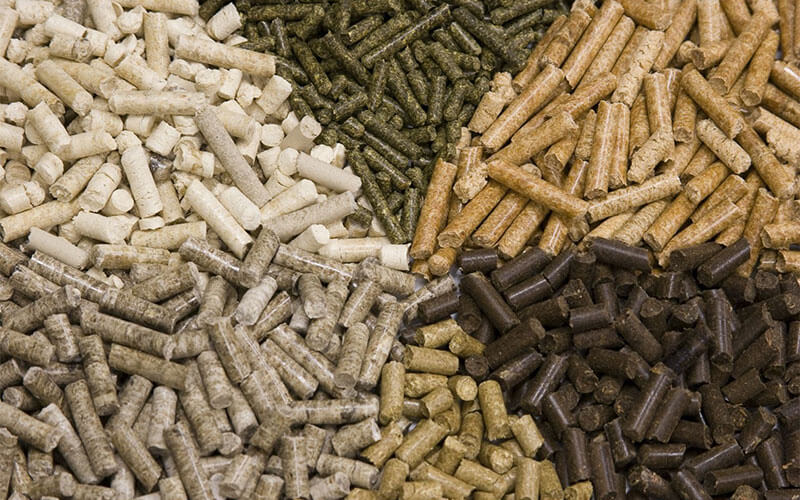 Biomass Fuel VS Fossil Fuel: an energy showdown about the global future.